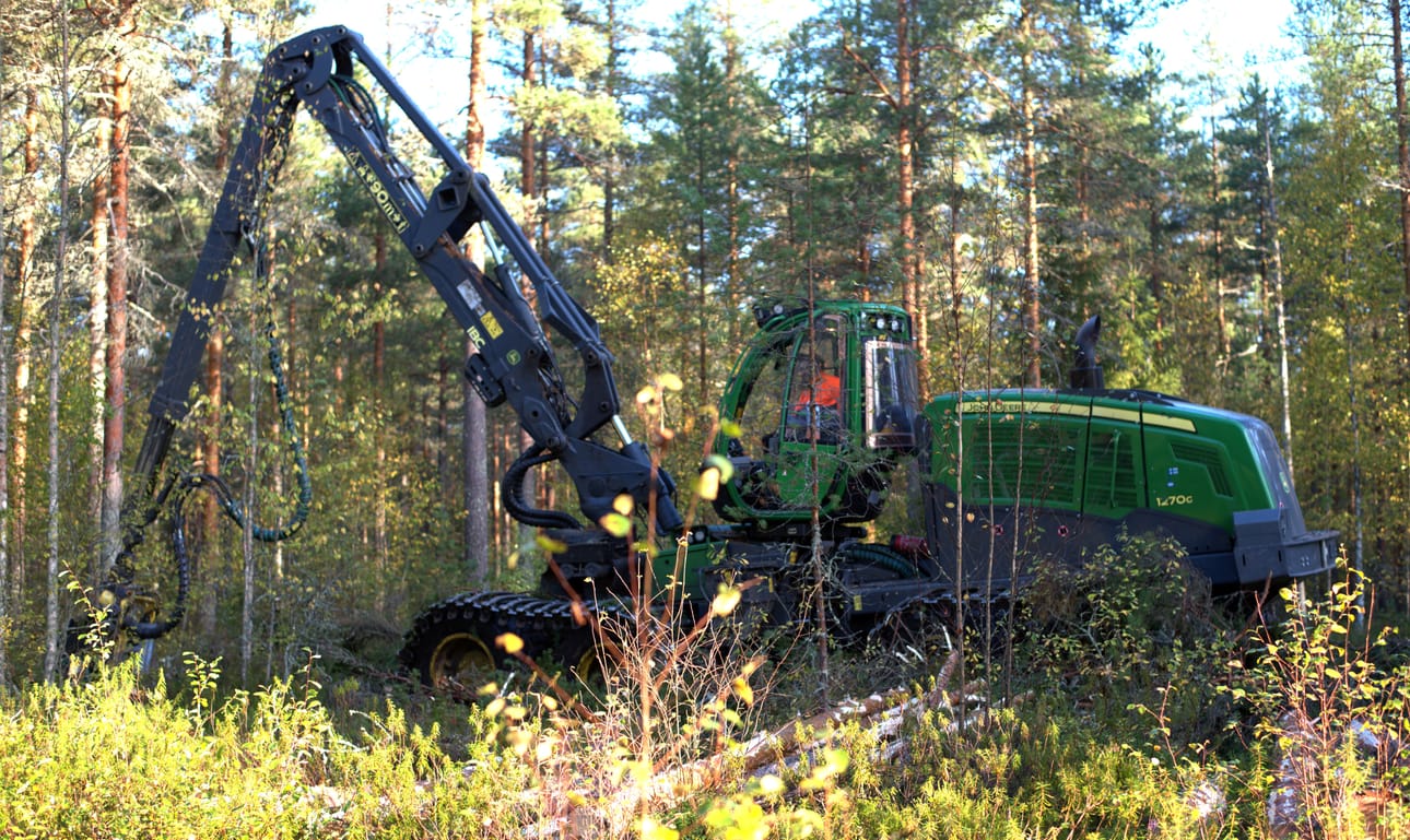 Motokuski työssään.