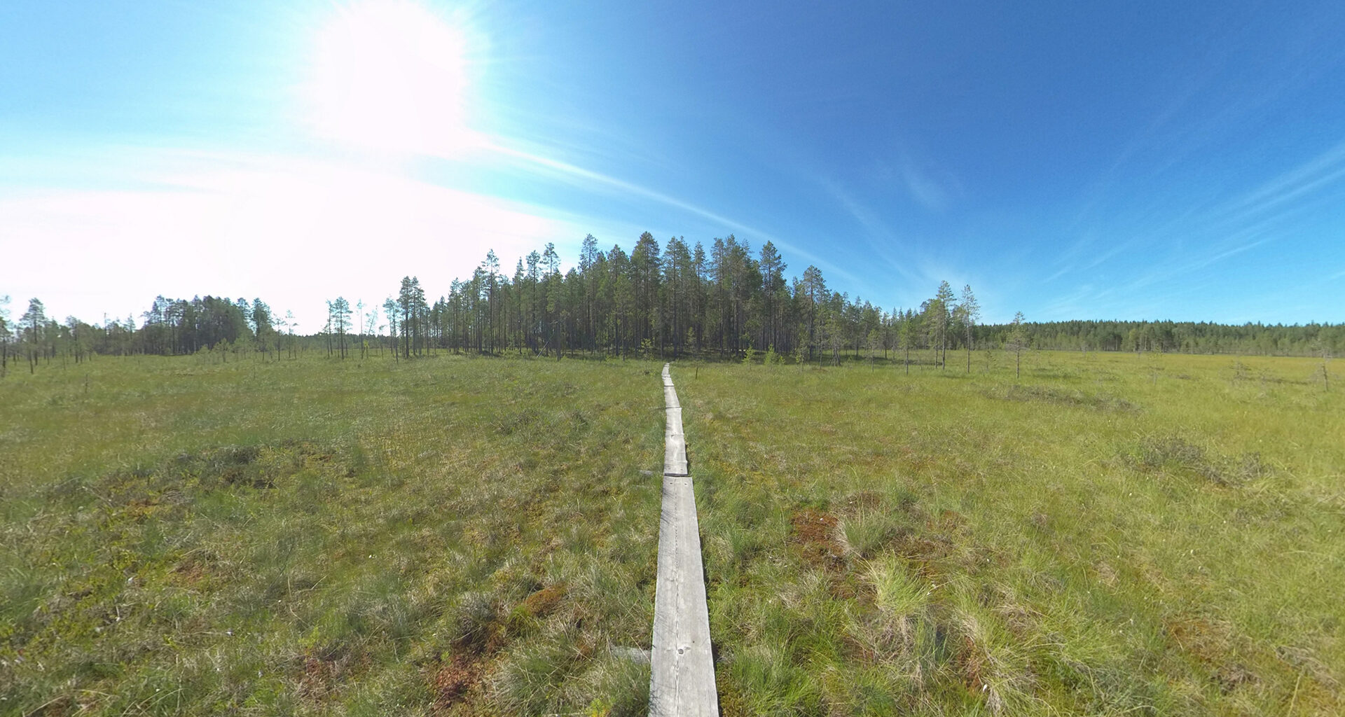 Kun luonto tulee luoksesi – virtuaalinen luontomatkailu avaa uusia polkuja