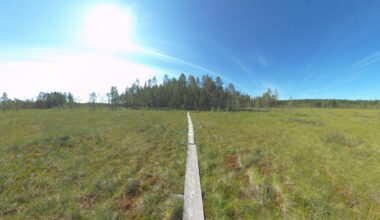 Kun luonto tulee luoksesi – virtuaalinen luontomatkailu avaa uusia polkuja