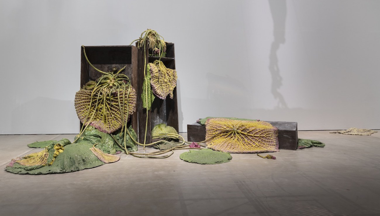 Roland Persson Body of Medusa (1)