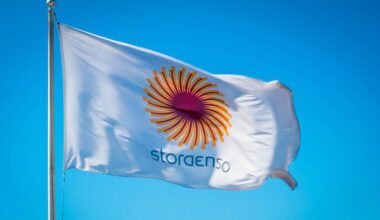 Stora Enso metsäyhtiö talous sijoittaminen metsäsektori lippu