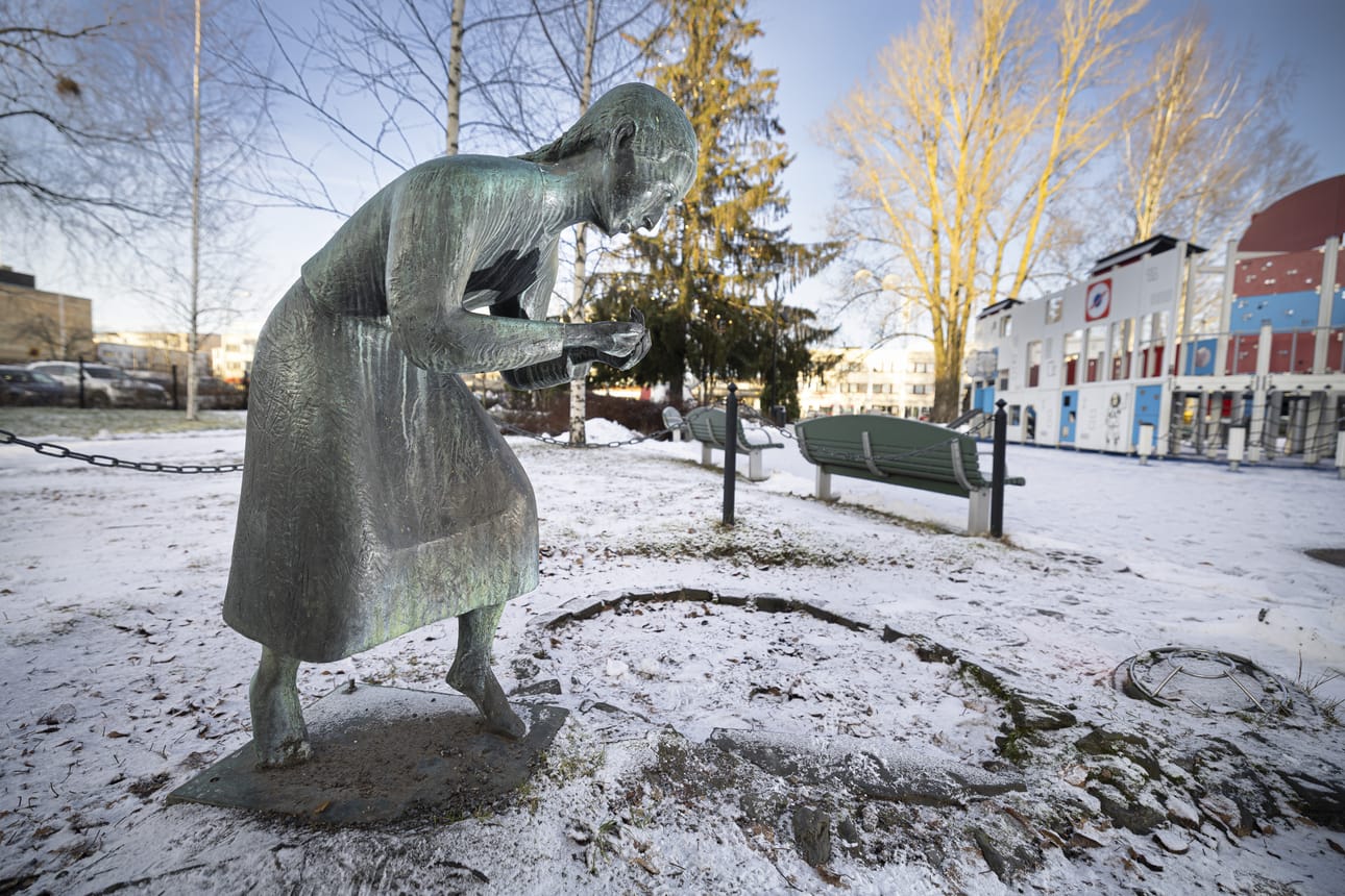Alavudelta kotoisin ollut taiteilija Jussi Koivusalon veistämä Paimentyttö -patsas (1963) ei ollut kaupungin tilaustyö vaan Seinäjoen Yksityisyrittäjien ja Yrittäjänaisten lahjoitus. Alkujaan Keskuspuistossa (nyk. Avaruuspuisto) sijaitsevan teoksen osana oli vesiallas. Paimentyttö pesi kasvojaan 59 vuotta, kunnes allas poistettiin turvallisuussyistä lähellä olevan lasten leikkikentän takia. Allas peitettiin metallilevyllä ja soralla. Seinäjoella on usea muukin Koivusalon tekemä patsas.