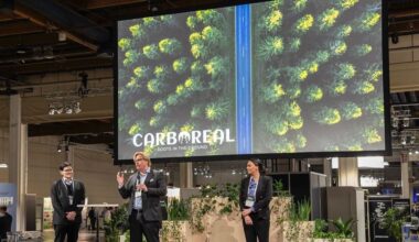 Carboreal jatkaa vahvaa kasvuaan – vapaaehtoisen hiilensidonnan markkina laajenee