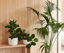 Orthexin Paulina-altakasteluruukku yksi Suomen vastuullisin tuote -kilpailun voittajista