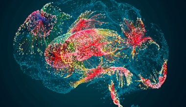 tämän takia autistit eivät koe sosiaalista vuorovaikutusta palkitsevaksi