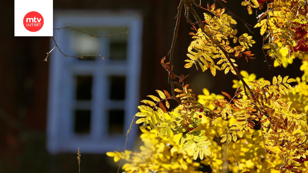 Lokakuun sää poikkesi tavanomaisesta | MTV Uutiset