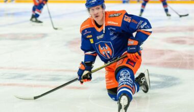 aop_sylvegardemil20251127