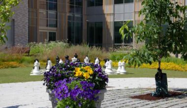 Luontoterapia on osa psykiatrista kuntoutusta Tampereella