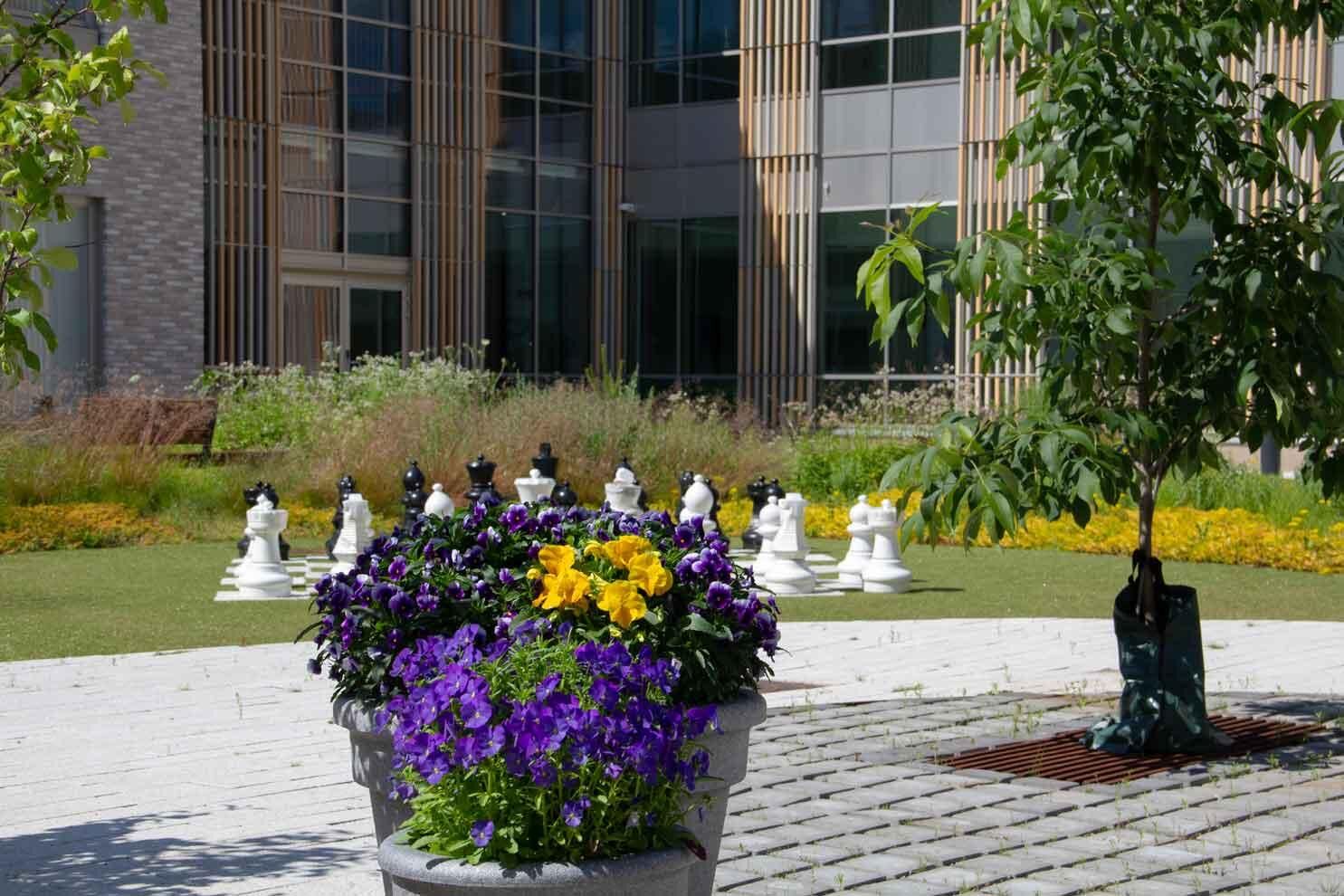 Luontoterapia on osa psykiatrista kuntoutusta Tampereella