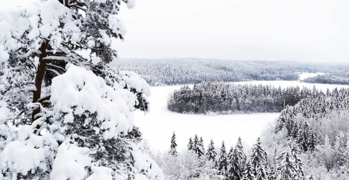 Nyt tulee lunta taivaan täydeltä – kinokset tekevät paluun