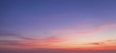 Fortum päivittää monimuotoisuustavoitteensa sekä julkaisee ensimmäisen luonnon monimuotoisuuden siirtymäsuunnitelmansa