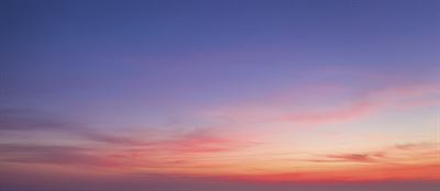 Fortum päivittää monimuotoisuustavoitteensa sekä julkaisee ensimmäisen luonnon monimuotoisuuden siirtymäsuunnitelmansa