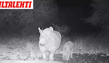 Tutkijat salasivat tässä kuvassa näkyvän poikasen olemassaolon – Taustalla tärkeä syy