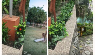 Google Onen päivitys tuo sovellukseen Tinderin tapaisella pyyhkäisykäyttöliittymällä varustetun tiedostojen poistonäkymän. Kuvat: Android Authority.