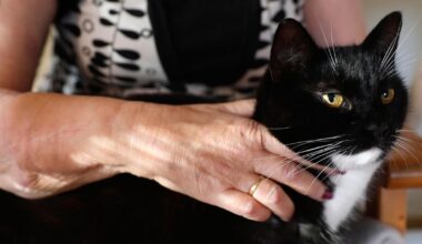 ”Antakaa aikaa, vaikka kiire painaisi”