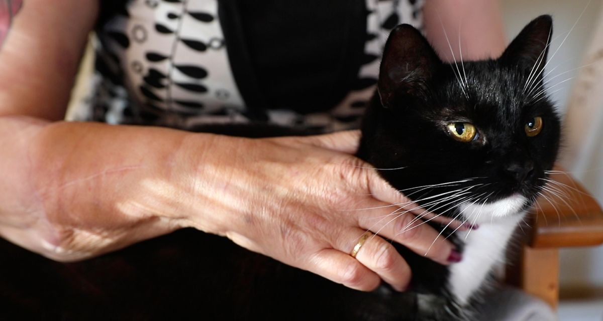 ”Antakaa aikaa, vaikka kiire painaisi”