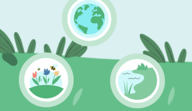 Ympäristösitoumuksen ilmasto- ja ympäristösuunnitelma - Ruokavirasto