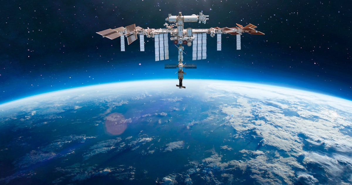 Tutkijat lähettivät pienen organismin 350 kilometrin päähän avaruuteen lähes vuodeksi. Kun se palautettiin laboratorioon, tapahtui jotain lähes uskomatonta