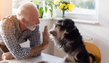 Puhutko kolmea tai useampaa kieltä? – Vanhenet todennäköisesti muita terveempänä