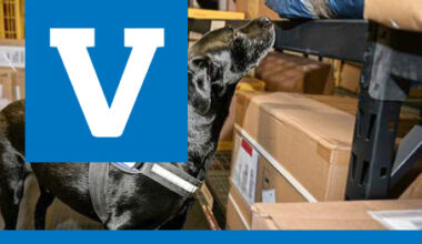 Kiinalaisen etämyynnin kasvu haastaa viranomaisia – kuluttajan vastuu korostuu Black Fridayna