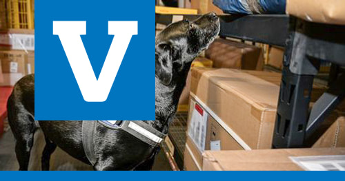 Kiinalaisen etämyynnin kasvu haastaa viranomaisia – kuluttajan vastuu korostuu Black Fridayna