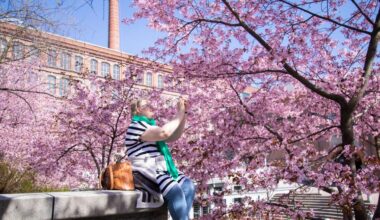 Viheralueohjelma [Tampereen kaupunki - Luonto ja ympäristö