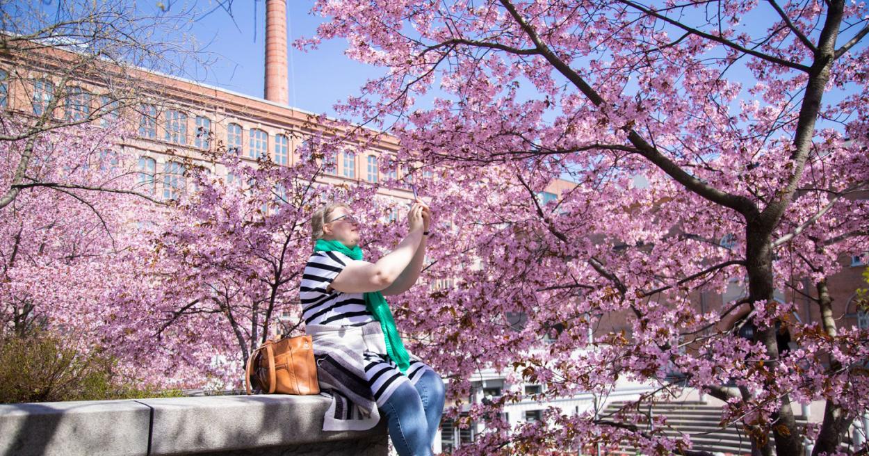 Viheralueohjelma [Tampereen kaupunki - Luonto ja ympäristö