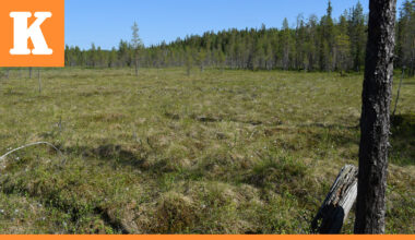 Nokialle jo neljäs suojelualue Kuusamoon