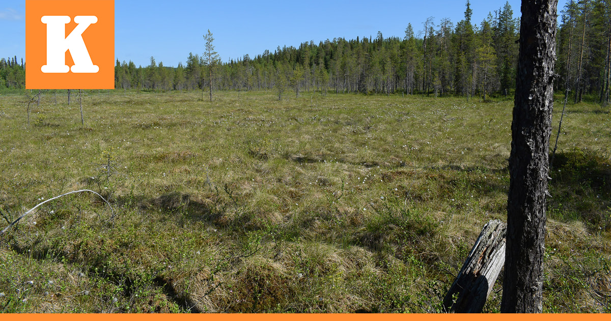 Nokialle jo neljäs suojelualue Kuusamoon