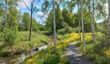Vesistöjen kunnostus [Tampereen kaupunki - Luonto ja ympäristö - Ympäristönsuojelu