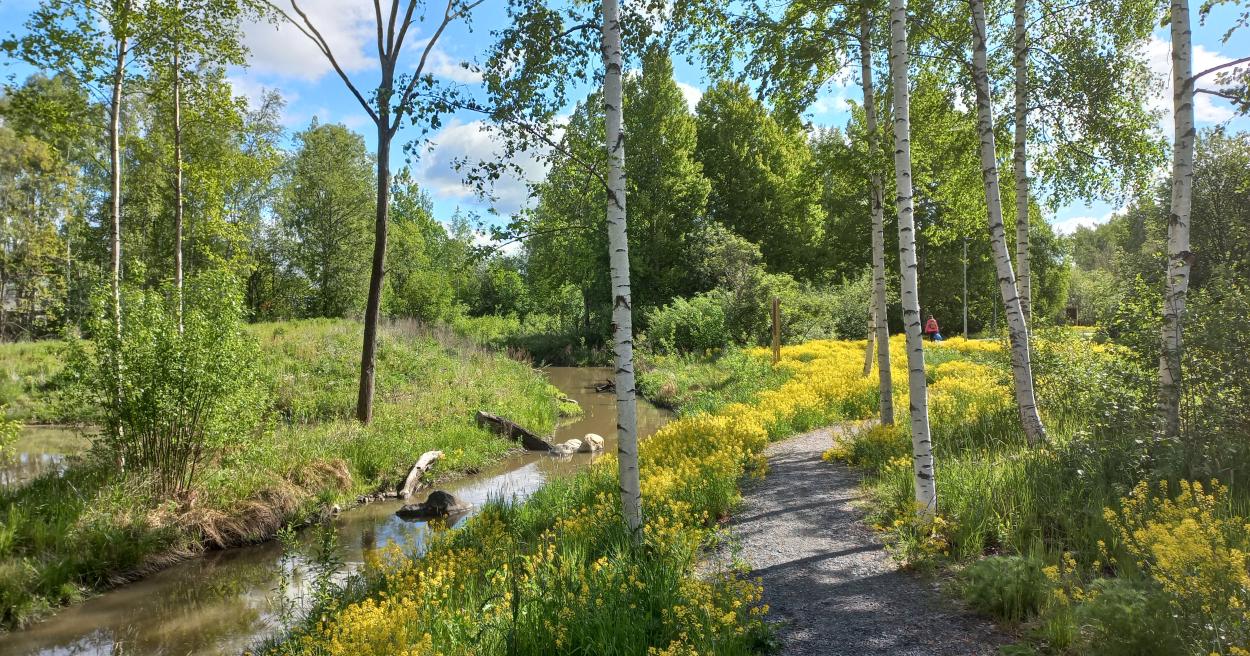 Vesistöjen kunnostus [Tampereen kaupunki - Luonto ja ympäristö - Ympäristönsuojelu