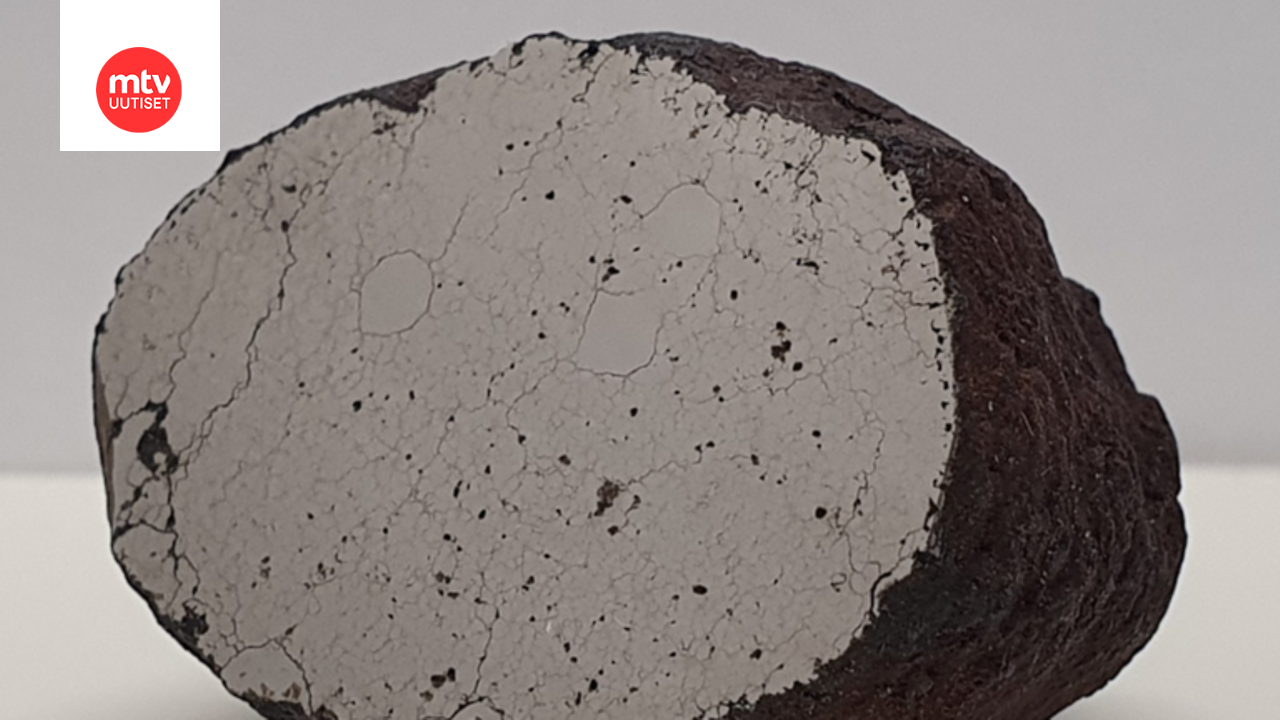Löpönvaara-meteoriitti on kooltaan pienehkö. Leikattu pinta näyttää meteoriitin sisärakenteen.