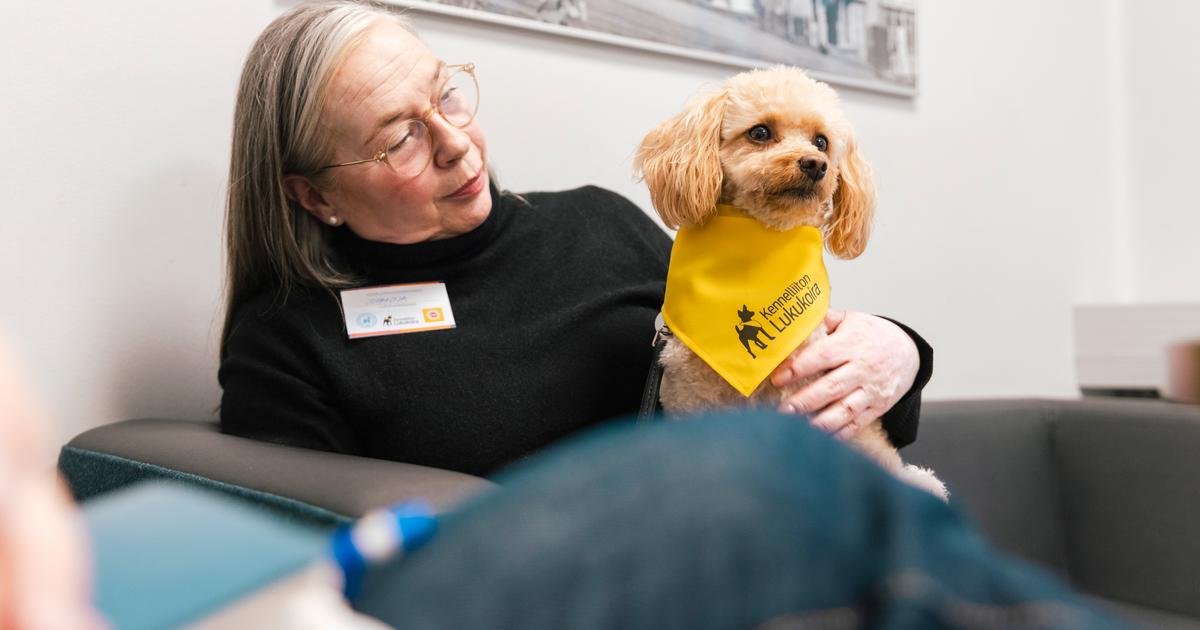 Lukukoira Ebba hurmaa ”Se kuuntelee eikä keskeytä” | Katso video