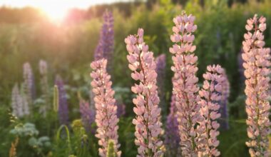 Vieraslajien torjunta [Tampereen kaupunki - Luonto ja ympäristö]