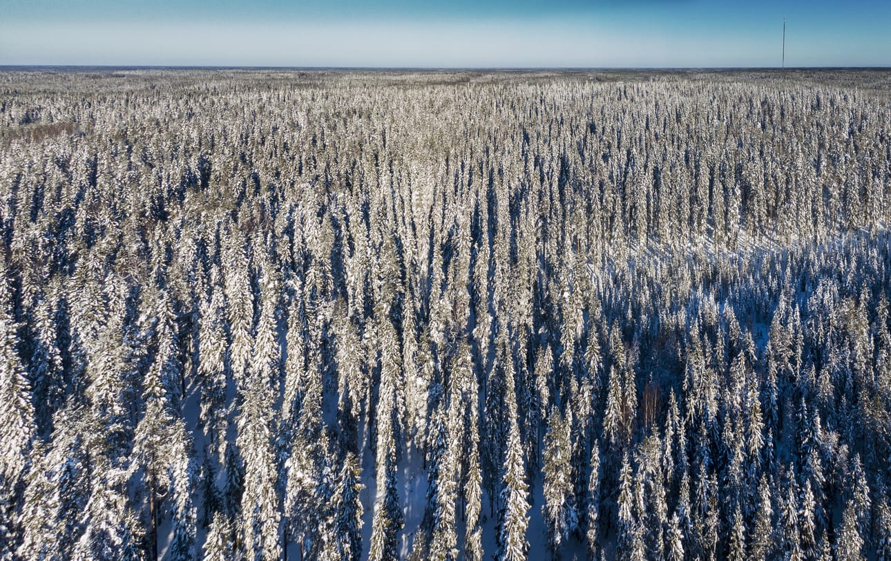 Juuret tiedossa -hankerahoituksella halutaan parantaa ilmastonmuutokseen liittyvien riskien ja vaikutusten ymmärrystä.