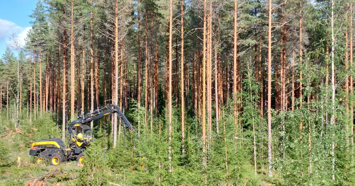Tulevaisuuden visio: Metsäkone raportoi tehdystä työstä automaattisesti