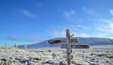 Lapin talvimatkailu tuo Suomeen 1,3 miljardia euroa, haastaja kirii kovaa perässä