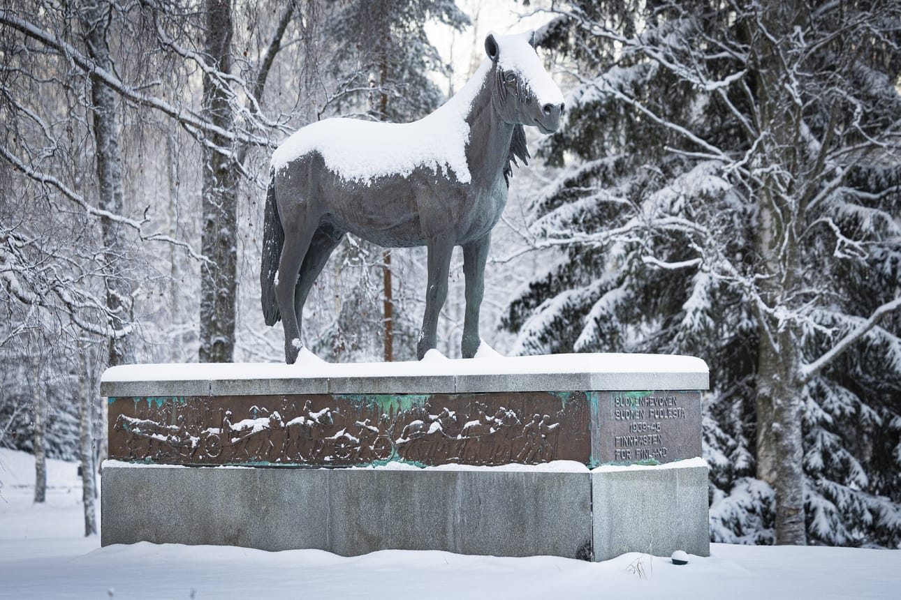 Kuopiolaisen kuvanveistäjä Herman Joutsenin Sotahevonen -patsas (1997) Törnävän kartanon puistossa kunnioittaa sodissa palvelleita suomenhevosia. Talvi‑ ja jatkosodassa palveli noin 110 000 hevosta, tuhansia menehtyi. Eniten sotahevosia saatiin Etelä-Pohjanmaan kunnista.