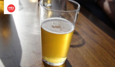 Alkoholilain uudistus lykkääntyy, koska perustuslakivaliokunta ei ehdi antaa asiasta lausuntoa niin sanottujen budjettilakien aikataulussa.