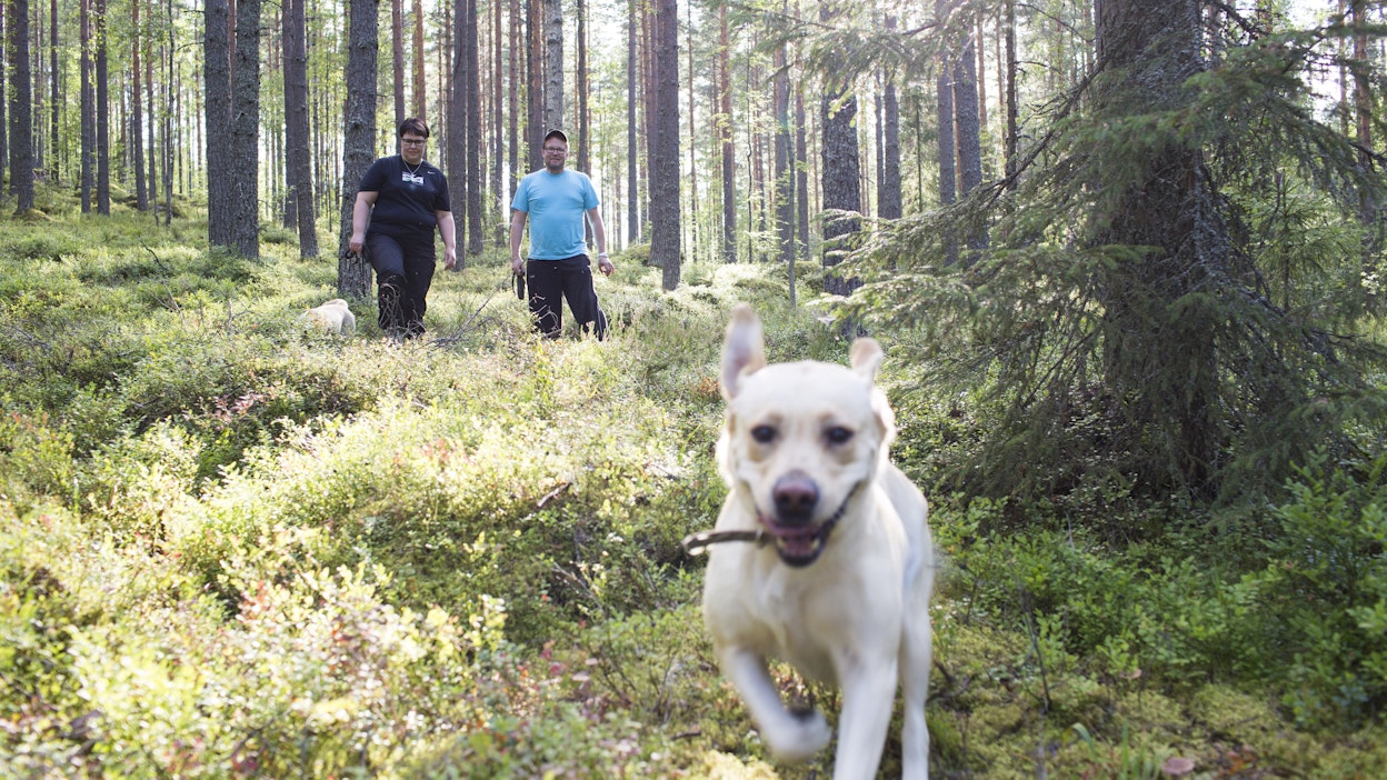 Retkellä metsässä. Kuvituskuva.