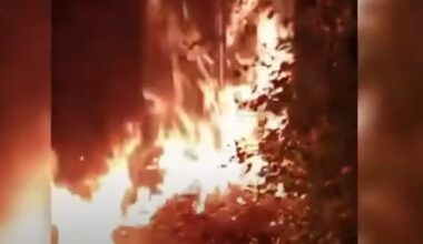 Nöyryytys Kremlille, sabotaasi-iskuja eri puolilla maata