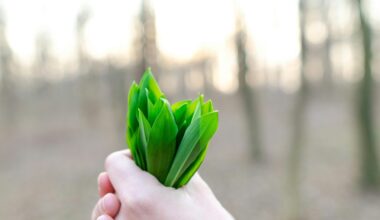 Suomen vastuullisin tuote