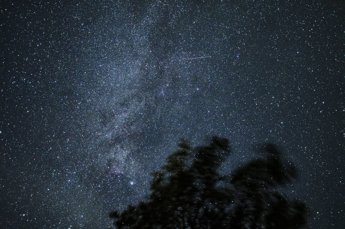 Pohjois-Karjalasta löydetty meteoriitti paljastaa lisää tietoa universumista: "Rakenne ja hivenainekoostumus ainutlaatuisia"