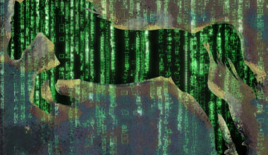 Lukijoilta | Tekoäly muuttaa työmarkkinoita – miten tulemme toimeen tulevaisuudessa?