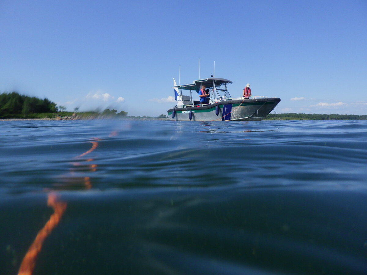 Itämeren luontoa uhkaavat rehevöityminen, saastuminen ja ilmastonmuutos.
