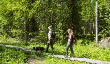 Metsien hoidon toimintamalli 2022-2030 [Tampereen kaupunki - Luonto ja ympäristö