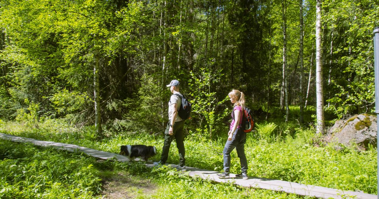 Metsien hoidon toimintamalli 2022-2030 [Tampereen kaupunki - Luonto ja ympäristö