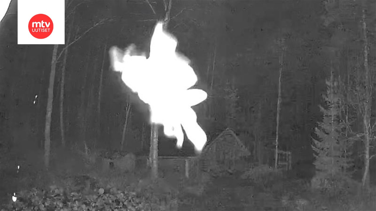 Riitan mökin valvontakameraan osui ”Halloween-Keiju”