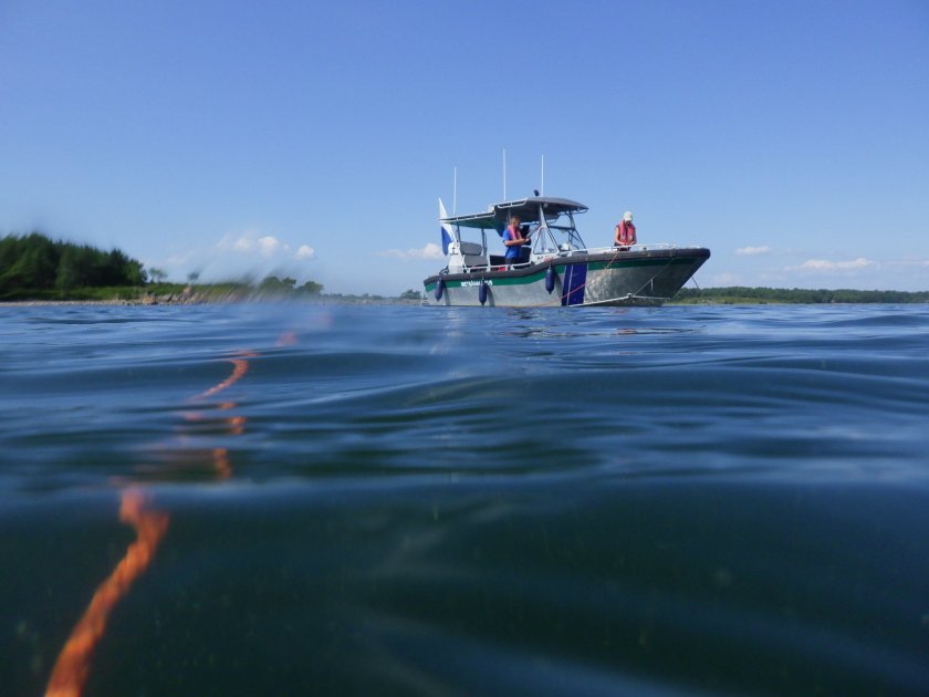 Suunnitelma Itämeren pelastamiseksi: 34 toimenpide-ehdotusta merensuojelualueverkoston vahvistamiseksi