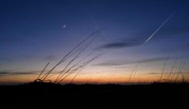 Ensi yönä kannattaa tähyillä taivaalle